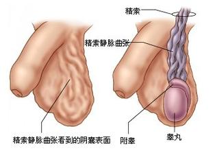 嘉兴南湖区有哪些好的男科医院